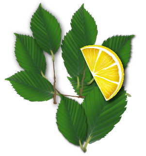 FeuilleEtCitron